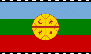 Bandera mapuche.