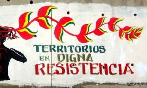 Territorios en resistencia (Fuente foto: Blog Solidaridad Tipnis).
