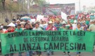 Honduras: Movilización por aprobación de la Ley de Reforma Agraria